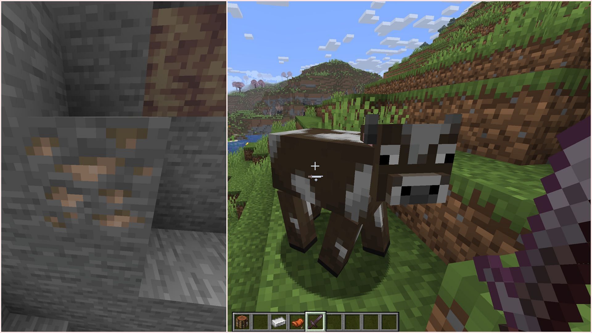 Iron can be found as iron ore, while leather can be obtained by killing cows (Image via Sportskeeda Gaming || Mojang Studios)